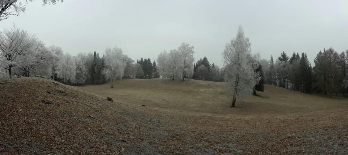 img-28834