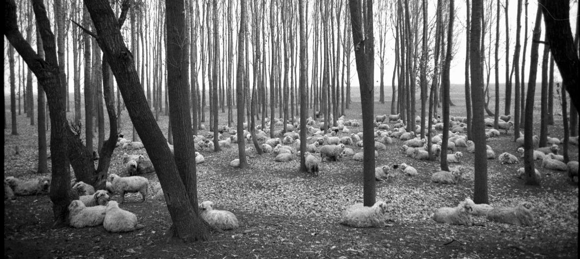 img-26591