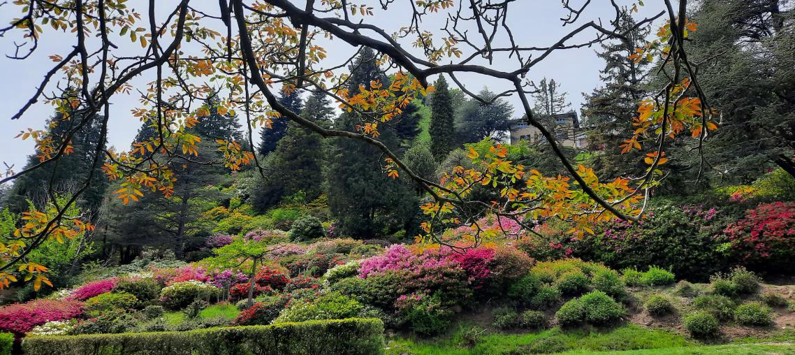 img-Visita guidata Parco San Grato in fioritura