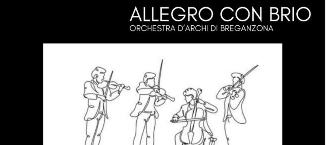 img-Orchestra d'archi