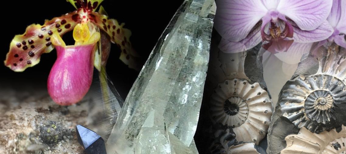 img-61901